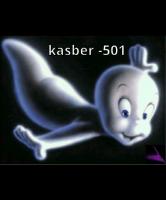   kasber-501